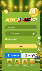 Step 3: Fill in Login Information