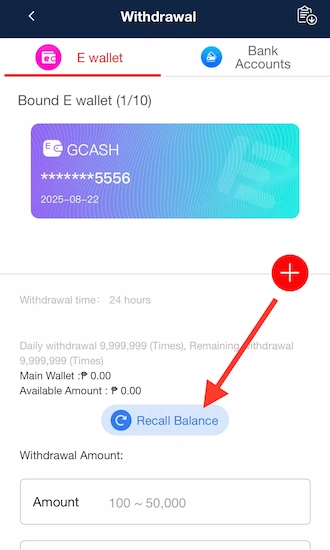 Step 1: Click on the "Recall Balance" option.
