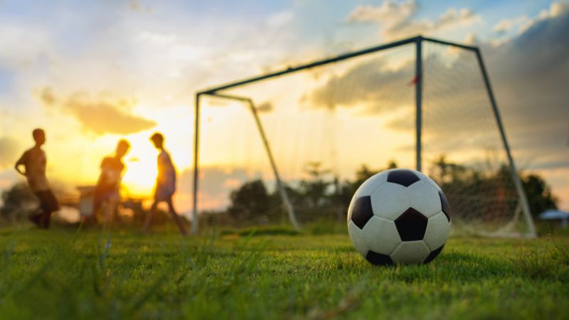 How to calculate money for Draw No Bet