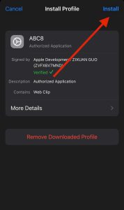 Step 4: click "Install".
